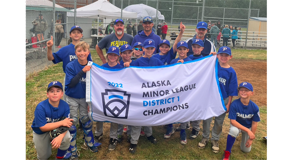 Minors  Boys baseball All Star Champions!!